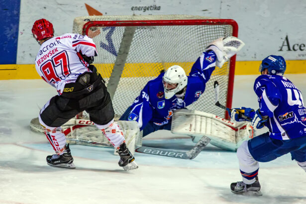 Foto: Drago Cvetanovič